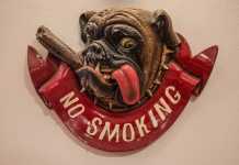 no smoking