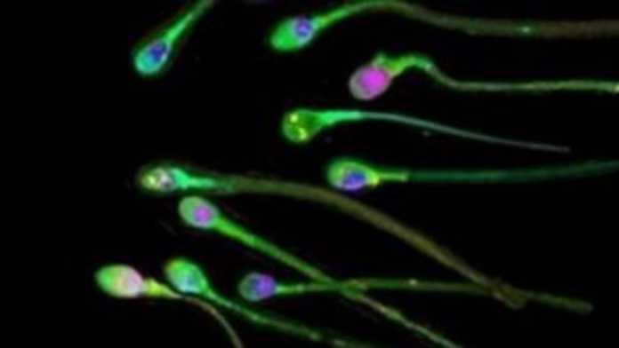 w23-114925s27105550s181852041457868