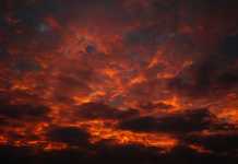 Βυσσνί θύελλα… τέζα ο συντάκτης; ⤵️ (Eντοπίζω λέξεις γιατί… Με Τρώει Το Tattoo)