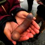 Πεόψαρα 10 ιντσών στην Καλιφόρνια! (φωτό και βίντεο)