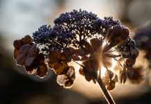 Καιρός… αίθριος, αλλά μη χαίρεστε