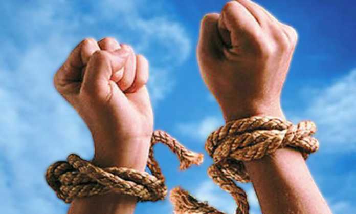 αποφυλάκιση