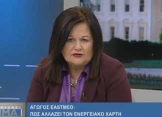 Καφαντάρη (ΣΥΡΙΖΑ): Εν αντιθέσει με την Ελλάδα, είναι ευρωπαϊκή τάση τα δίκτυα ενέργειας υπό δημόσιο έλεγχο – βίντεο