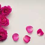 Αγίου Βαλεντίνου: Ο μύθος πίσω από τον εορτασμό