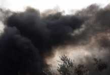 Μυτιλήνη: Πυρκαγιά κατέστρεψε τις εγκαταστάσεις ΜΚΟ