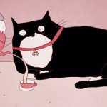 Iστορίες για… γάτες: Πώς το άγριο θηρίο κατέληξε στο καναπέ