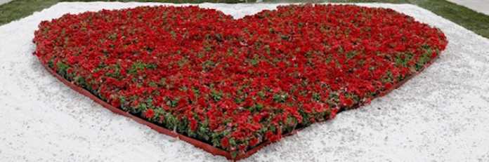 ΚΑΡΔΙΑ ΣΥΝΤΑΓΜΑ