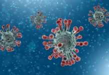 Βρετανία: Πεντάχρονο αγοράκι θύματου κορονοϊού