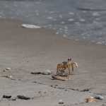 Παύλος Νικολαϊδης (ΑΠΘ): Πώς θα κάνουμε τα μπάνια μας φέτος το καλοκαίρι