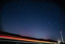 Λυρίδες: τα πρώτα «πεφταστέρια» της άνοιξης