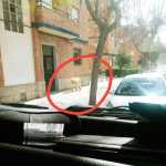 ‘Αντρας παρίστανε το σκύλο για να σπάσει την καραντίνα