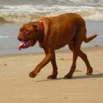 Ρεκόρ μεγίστων θερμοκρασιών Μαΐου – Στους 41 βαθμούς η υψηλότερη θερμοκρασία στη Σπάρτη