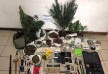 «Ξηλώθηκε» εγκληματικό δίκτυο με πλοκάμια σε Αθήνα, Κορινθία και Μεσσηνία