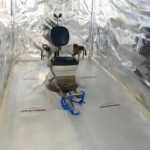 Ολλανδία: Εντοπίστηκε μυστικός «θάλαμος βασανιστηρίων» μέσα σε κοντέινερ