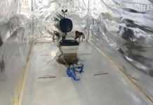 Ολλανδία: Εντοπίστηκε μυστικός «θάλαμος βασανιστηρίων» μέσα σε κοντέινερ