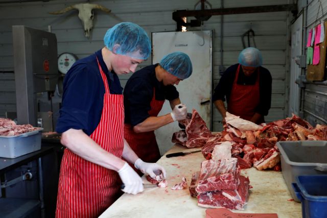 Mobile butcher Gerrit vande Bruinhorst works on a beef carcass in Picture Butte