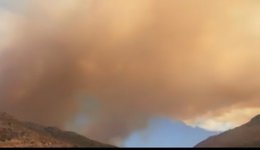 Screen Shot 2020-08-22 at 3.40.46 PM