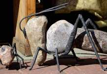 X. Μπουκάι: Μη βαδίζεις από κάτω μου γιατί μπορεί να σε πατήσω