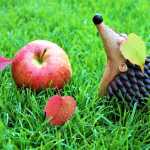 Ανώφελη αισιοδοξία: Πότε η ελπίδα μας κάνει να χάνουμε το στόχο μας