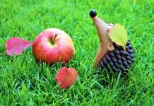 Ανώφελη αισιοδοξία: Πότε η ελπίδα μας κάνει να χάνουμε το στόχο μας