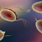 Ανδρική Yπογονιμότητα: Βασικές αλλά συχνά άγνωστες αλήθειες (α μέρος)