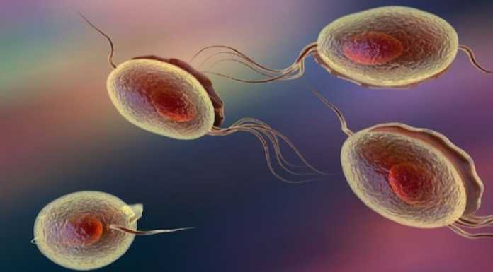 andriki-upogonimotita-big_2