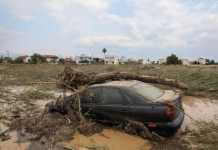 Έσπευσαν τα «κοράκια» στην Εύβοια για να βρουν πλημμυρισμένα αυτοκίνητα