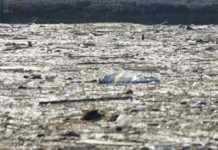 Εύβοια: Στους οκτώ οι νεκροί