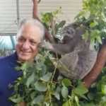 Κοάλα ρίχνει ξεγυρισμένη φάπα σε βουλευτή (video)