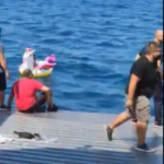 Φέρι μποτ έσωσε 3χρονη που παρασύρθηκε με το σωσίβιό της (video)