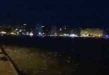 Θεσσαλονίκη: Τα ψάρια βγήκαν στη Στεριά (video)