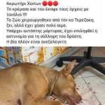 120823779_10158875925162764_7220682008819013786_o