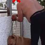 120825464_3659768470700118_4049000549100444819_o