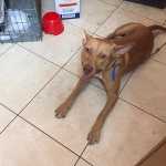 120895623_3390572664362762_2970583257695900804_n