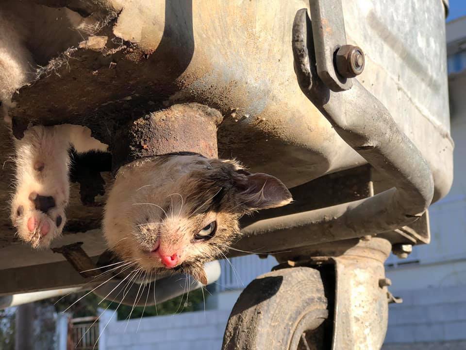 128214295_3004614489638420_6782053164258286102_n