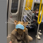 Jonothon Lyons: Σαν τρωκτικό κρατώ αποστάσεις απ’ τους ανθρώπους πολύ πιο εύκολα