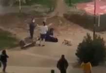 Καρδίτσα: Βίαιη σύλληψη 22χρονης επειδή δεν τηρούσε τα μέτρα (video)