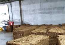 Εξαρθρώθηκε οργάνωση που κατασκεύαζε και διακινούσε λαθραία τσιγάρα – Συνελήφθησαν 39 άτομα