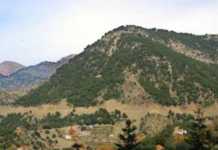 Ραπτόπουλο Ευρυτανίας: Νεκρός ένας από τους 7 διασωληνωμένους