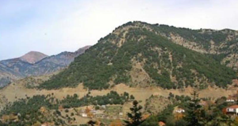 ΡΑΠΤΟΠΟΥΛΟ