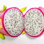 Τελειοθηρία: Κυνηγώντας το ανέφικτο