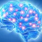 Η παχυσαρκία κάνει κακό ακόμα και στον εγκέφαλο