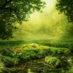 2020, το έτος της πρώτης Ανθρωπόπαυσης