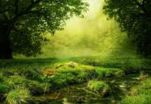 2020, το έτος της πρώτης Ανθρωπόπαυσης