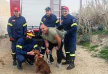 Μύκονος: Καρέ – καρέ συγκλονιστική διάσωση σκύλου από πηγάδι