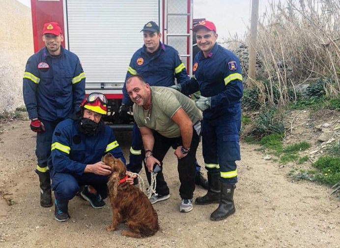 136994793_850198242222206_9002211585976045514_n-696x692