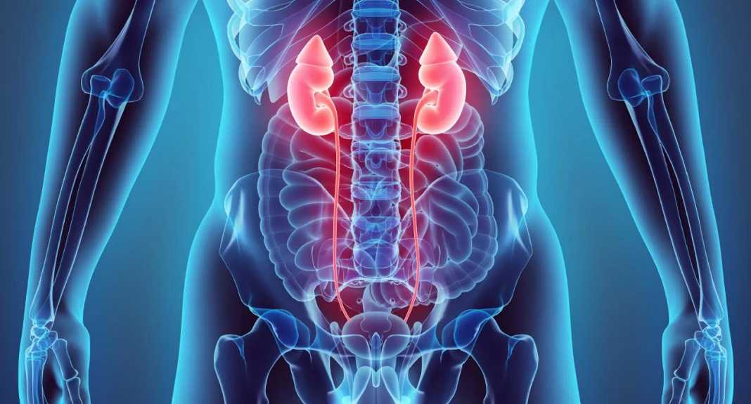 aima-sta-oura-aimatouria-image-93a19c97