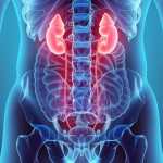 Αίμα στα Ούρα – Αιματουρία