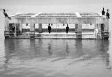 Χόρχε Μπουκάι: Ο οίκτος είναι απλώς μια ποταπή σκέψη