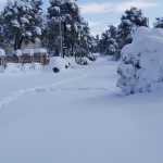 Eπείγουσα έκκληση του Δήμου Ωρωπού για εκχιονιστικά: Κινδυνεύουν ζωές